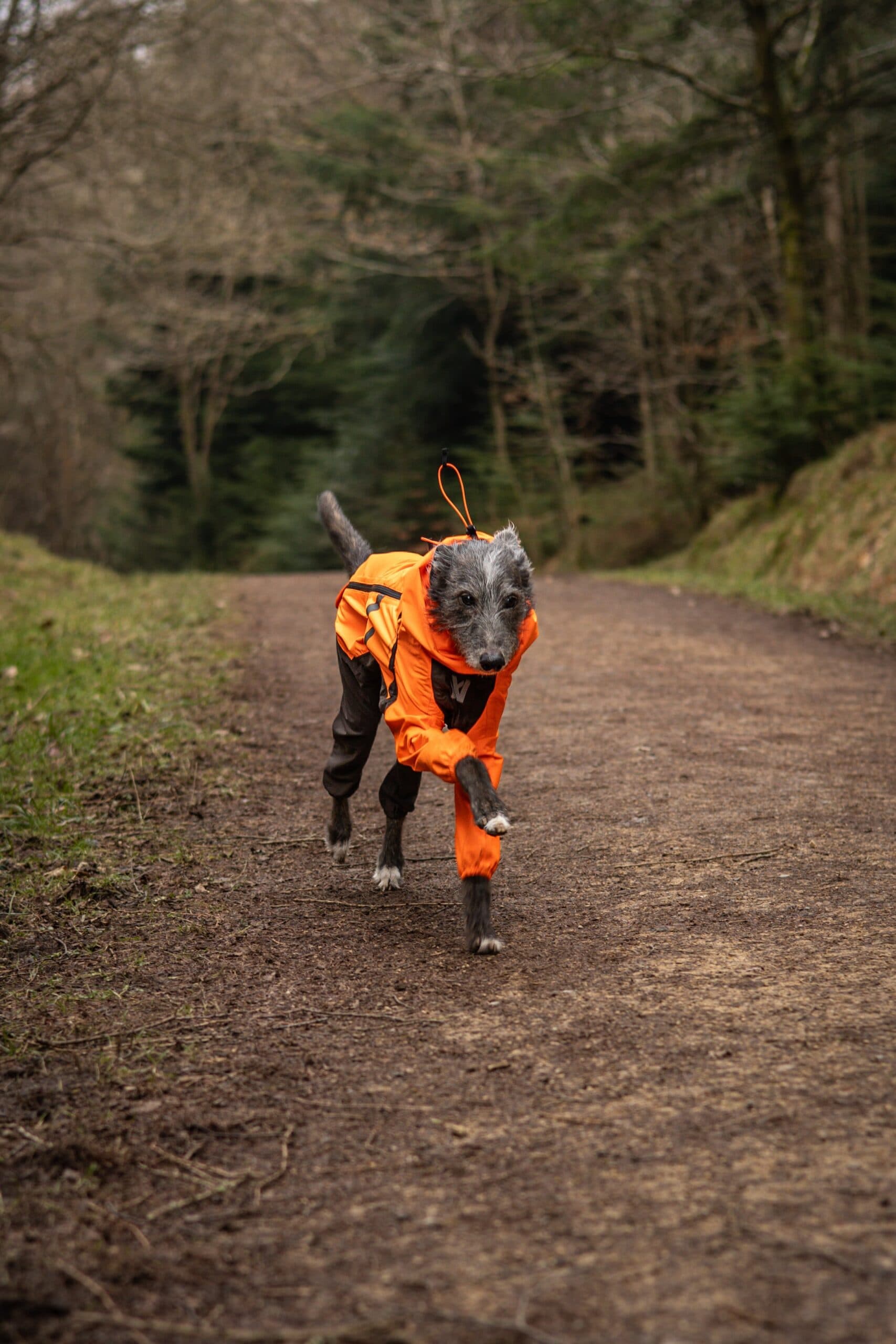 Fjord overall raincoat - Heldekkende regndekken