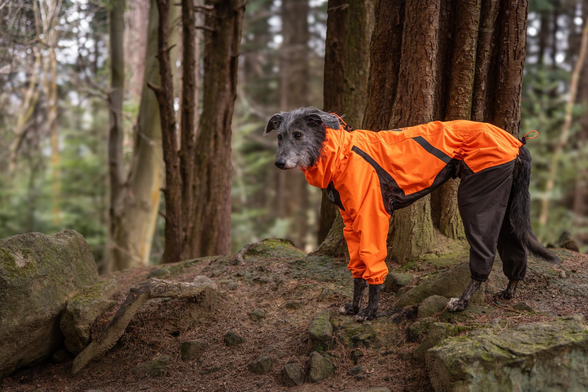 Fjord overall raincoat - Heldekkende regndekken