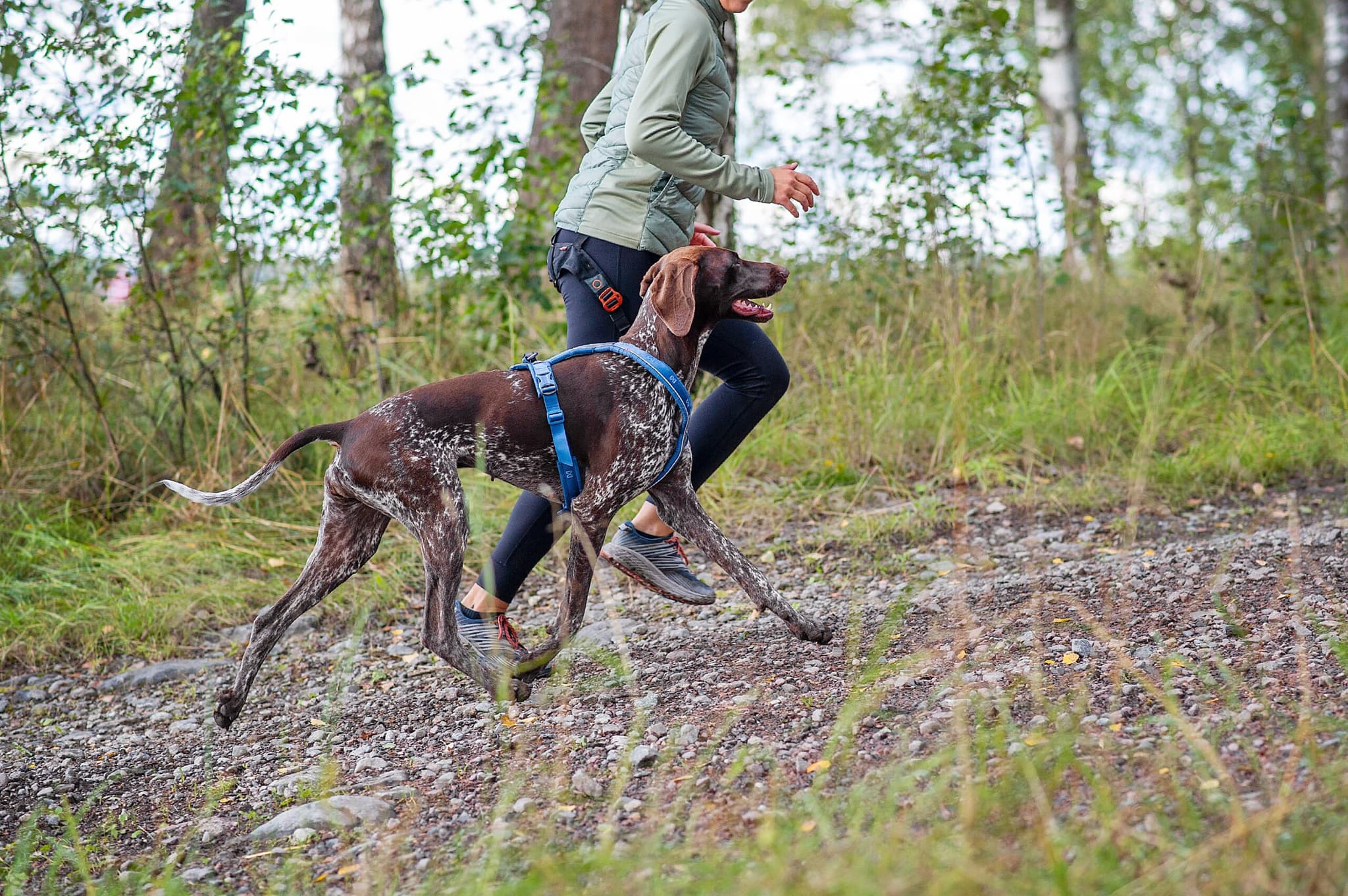 Line Harness 5.0 - Allsidig trekksele, Sort