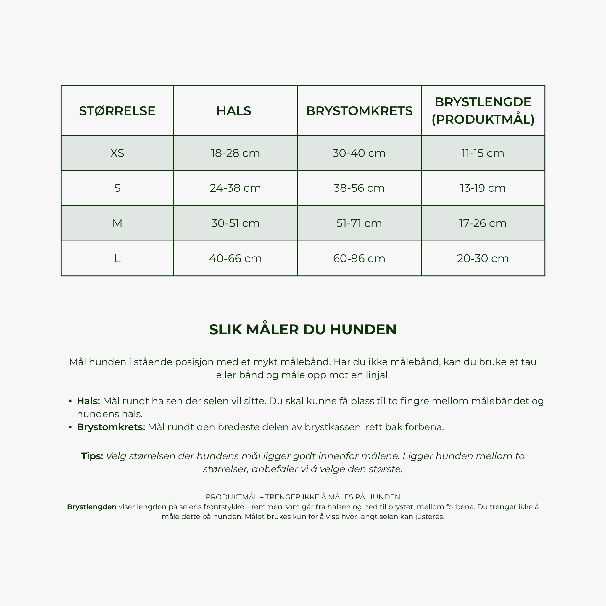 Brown and Tan – Hundesele