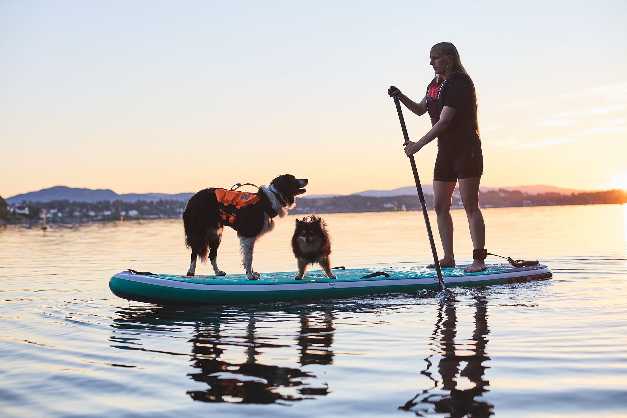 Protector life jacket - Redningsvest til hund