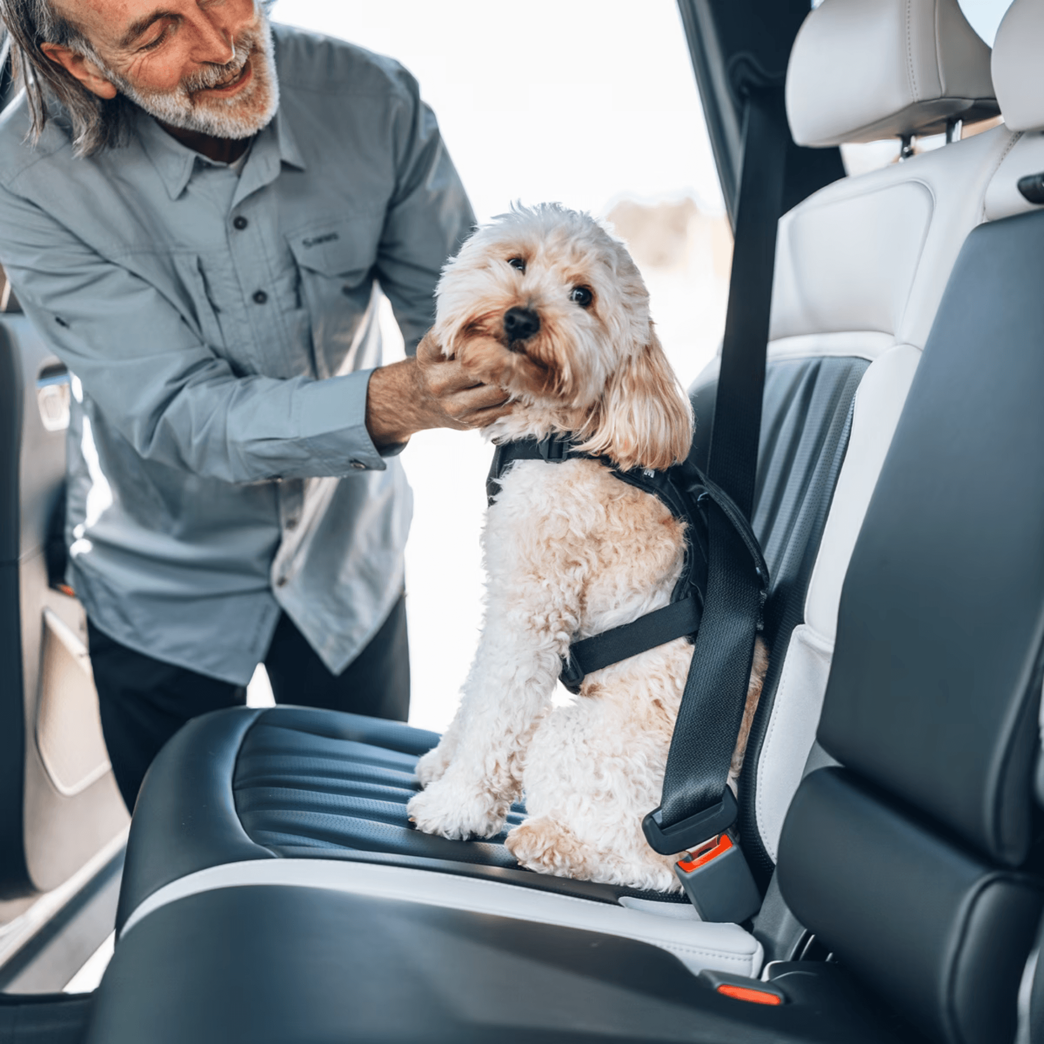 Thule Cappy – Bilsele til hund