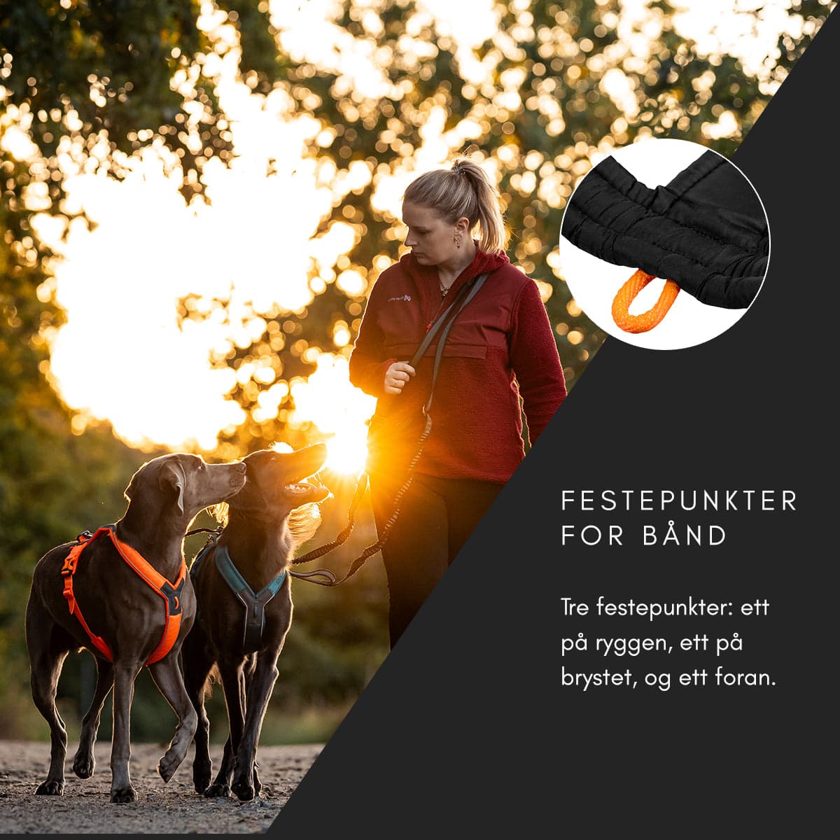Line Harness 5.0 - Allsidig trekksele, Sort