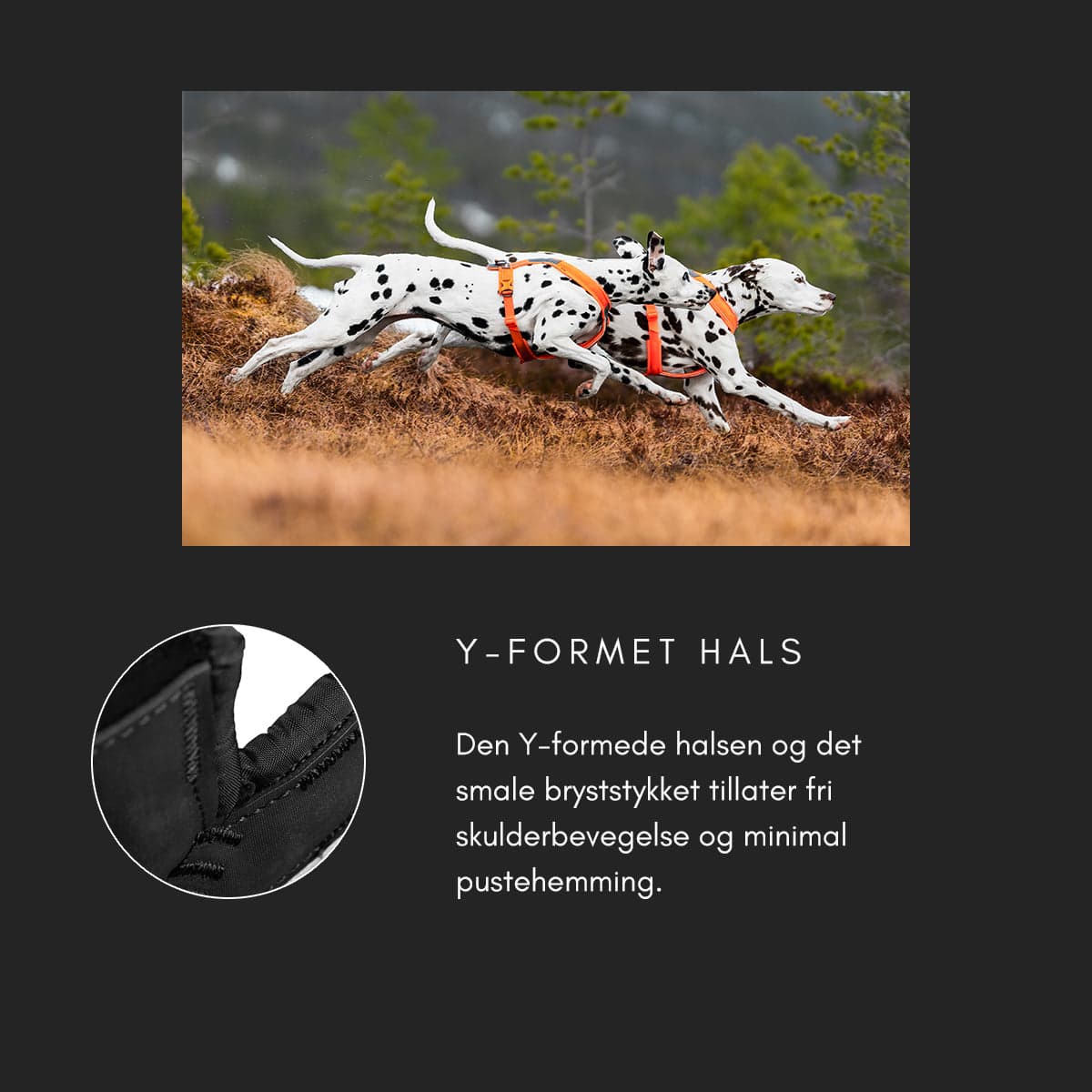 Line Harness 5.0 - Allsidig trekksele, Grønn