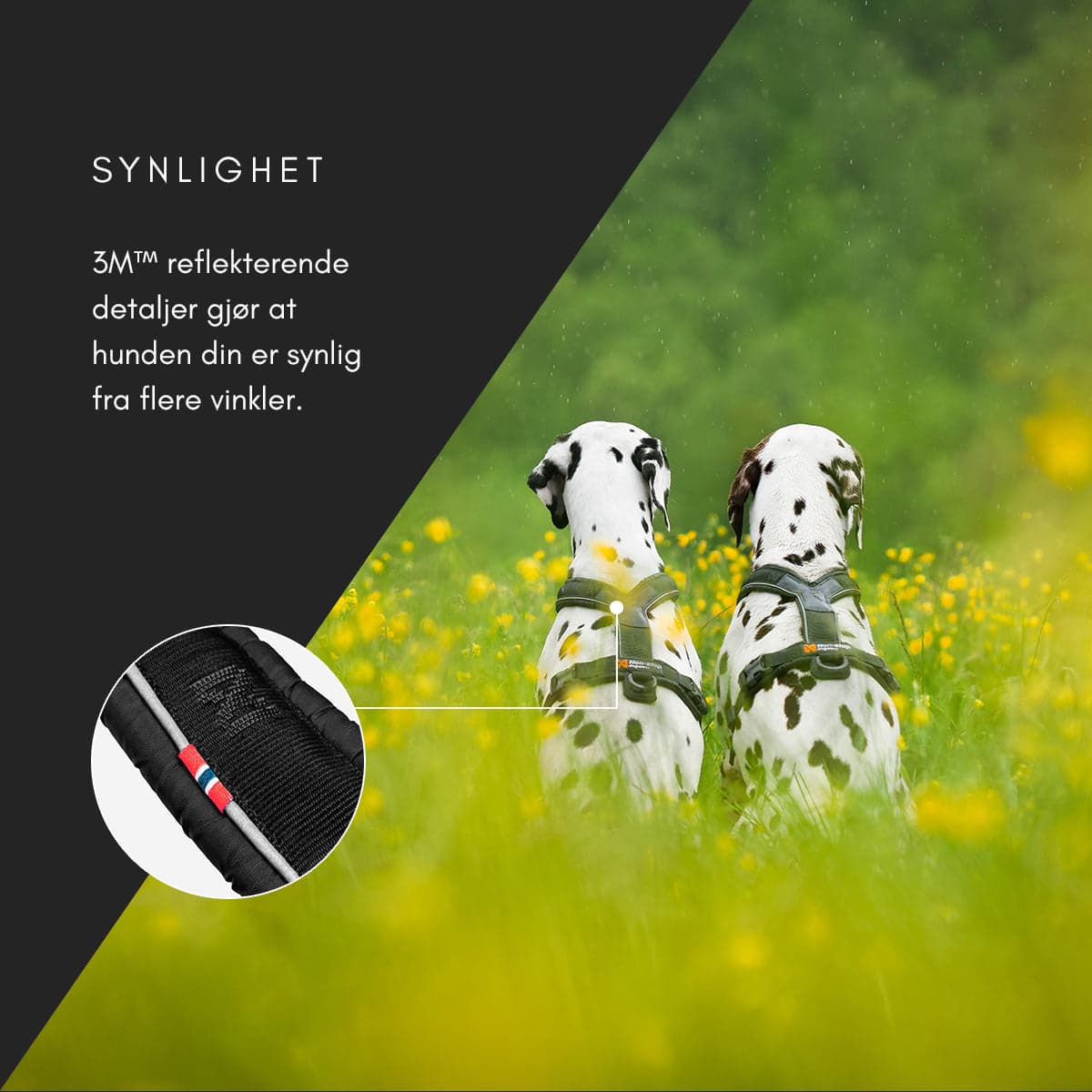 Line Harness 5.0 - Allsidig trekksele, Sort