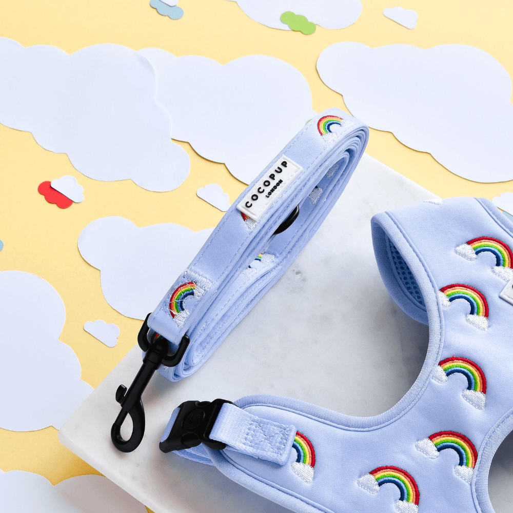Over the Rainbow - Hundekobbel i Regnbuemønster, 152 cm