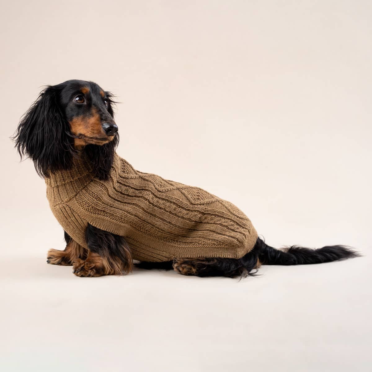 Camel Aran – Hundegenser med alpakka ull