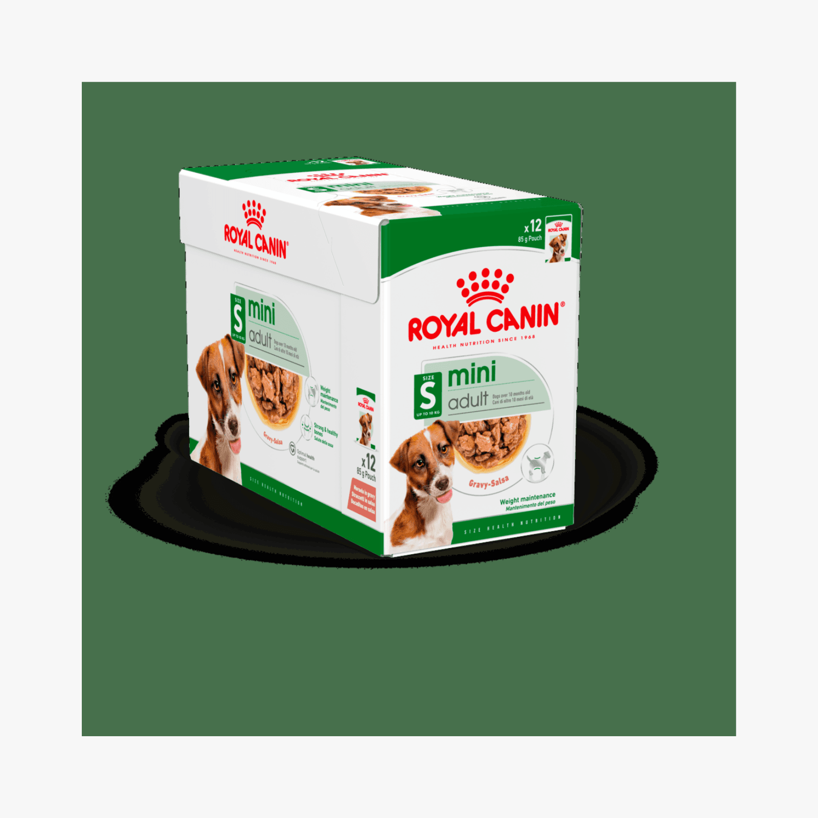 Royal Canin Mini Adult Gravy – Våtfôr for voksne små Hunder | 12x85g