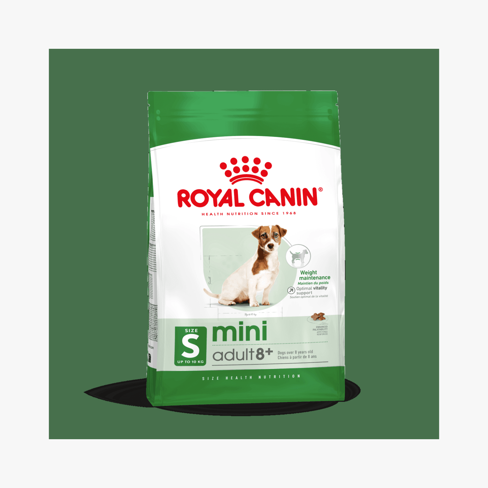 Royal Canin Mini Adult 8+ – Hundemat for eldre små hunder (8+ år)