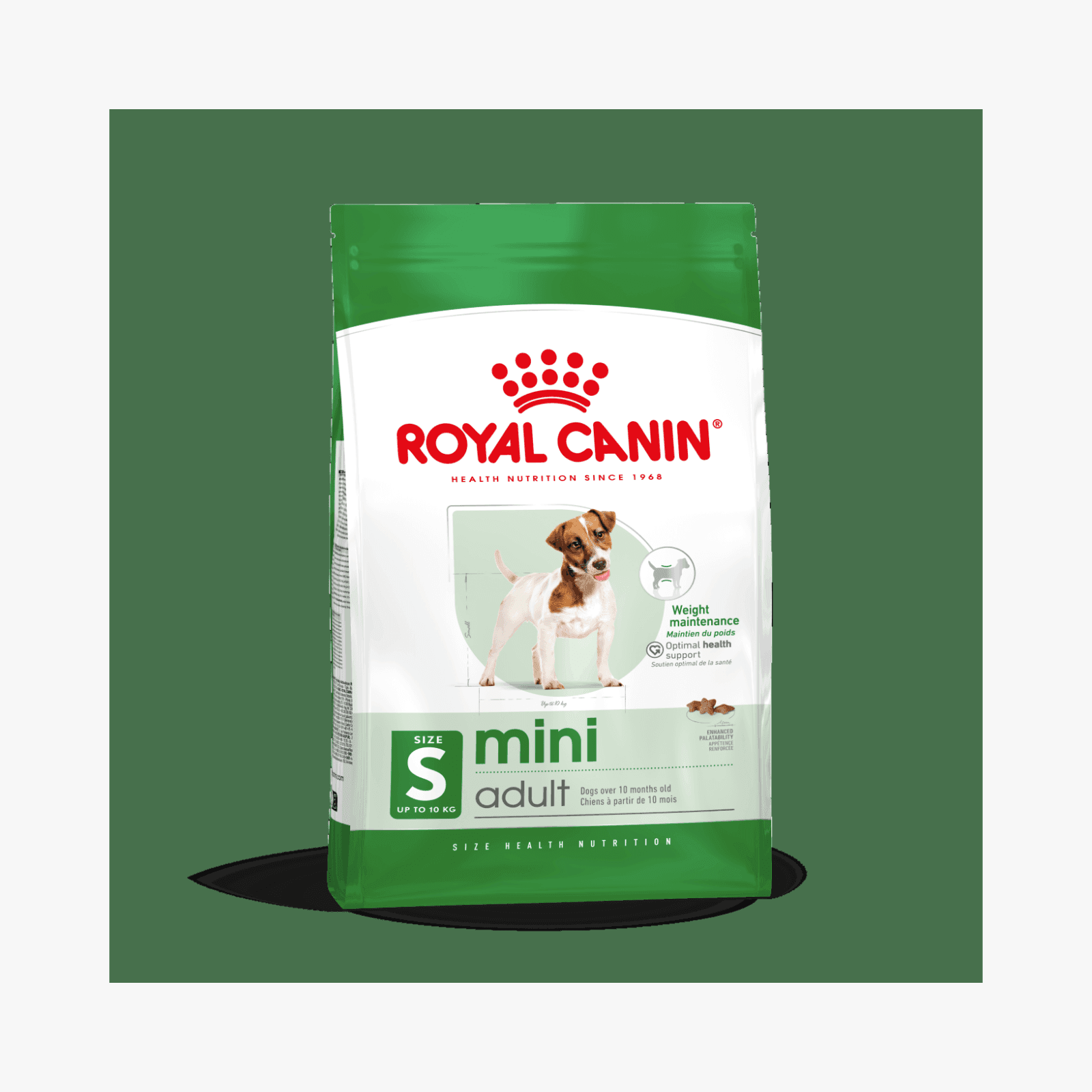 Royal Canin Mini Adult – Hundemat for voksne små hunder (1-10 kg)