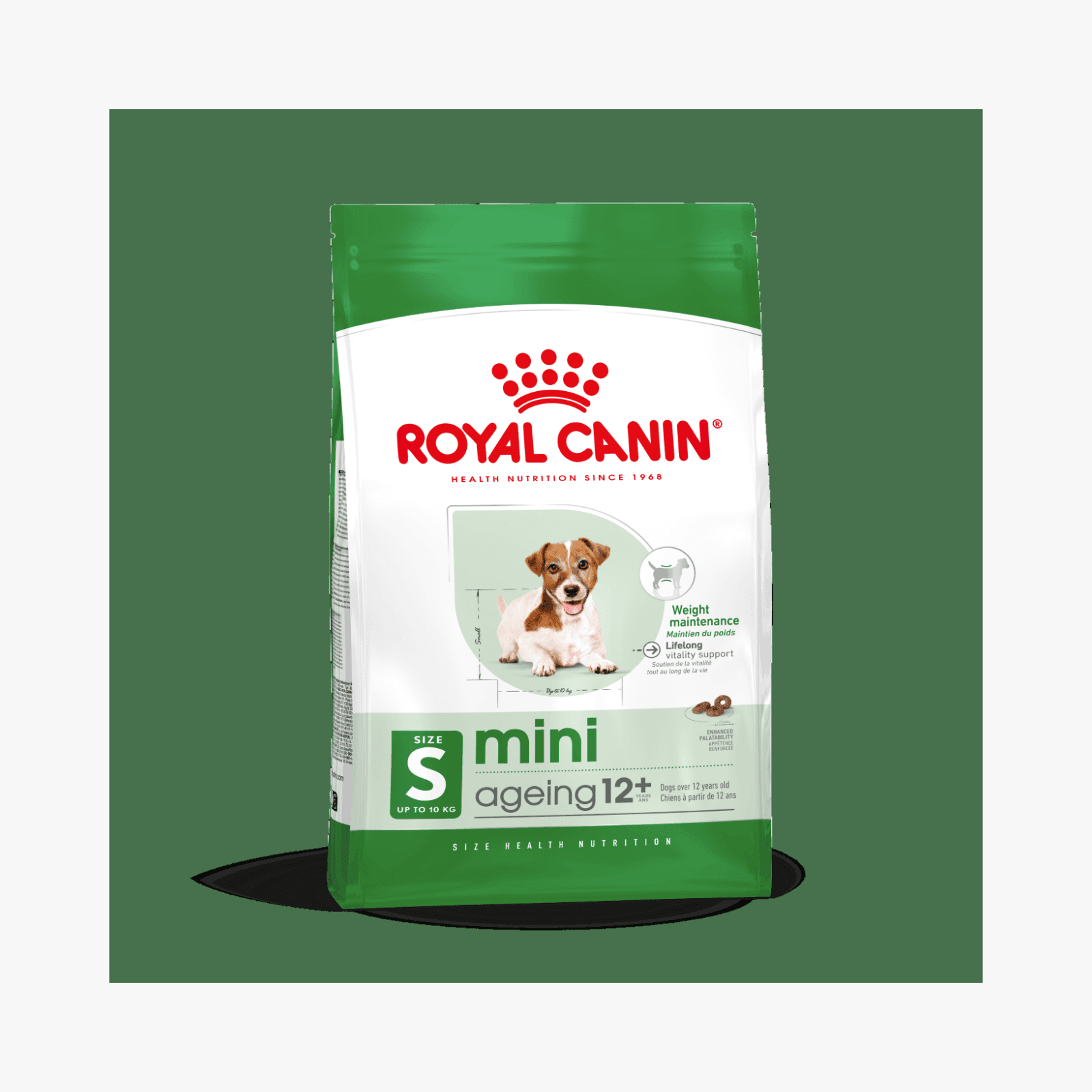 Royal Canin Mini Ageing 12+ – Hundemat for eldre små hunder (12+ år)