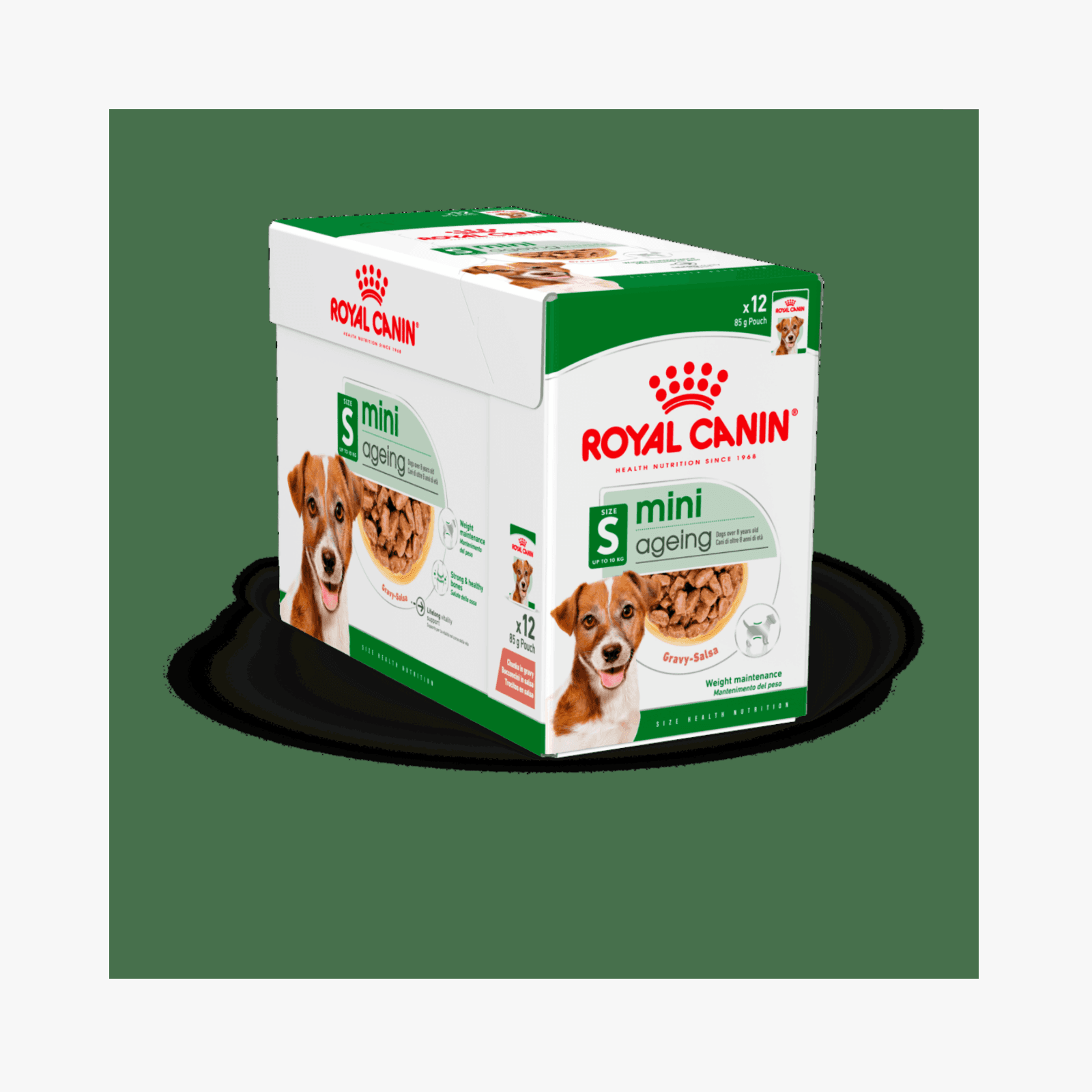 Royal Canin Mini Ageing Gravy – Våtfôr for eldre små hunder | 12x85g