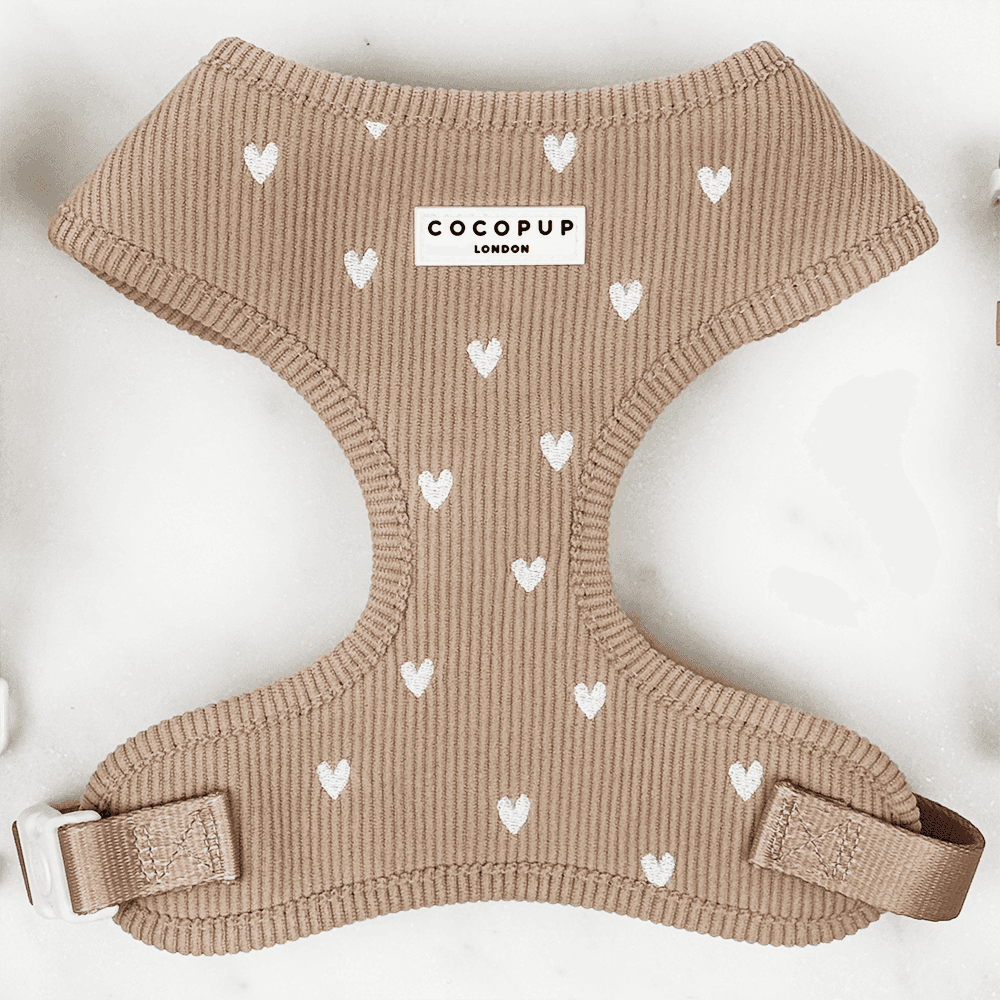 Chai Hearts – Hundesele