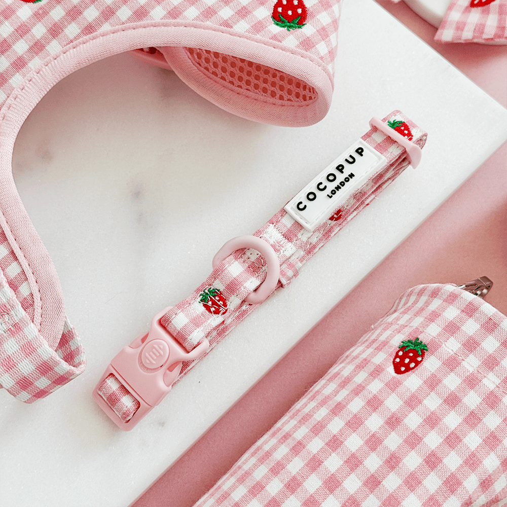 Strawberry Picnic - Hundehalsbånd