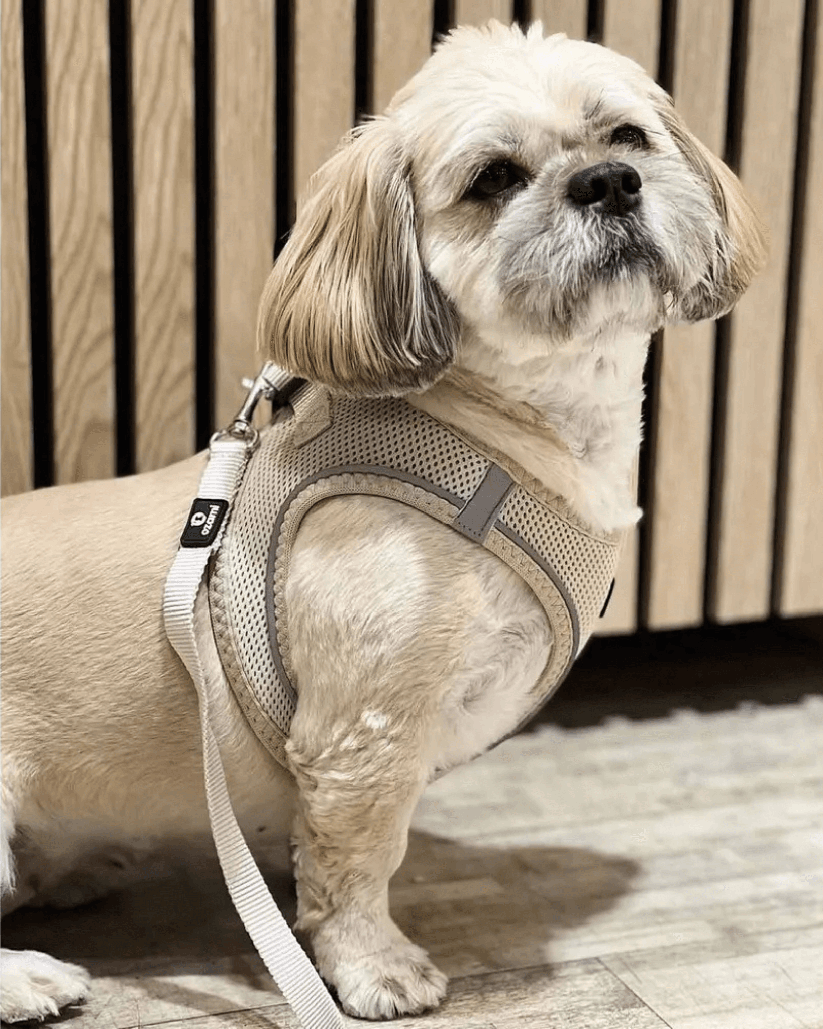 Air-Mesh Leash – Hundebånd / Kobbel | Beige