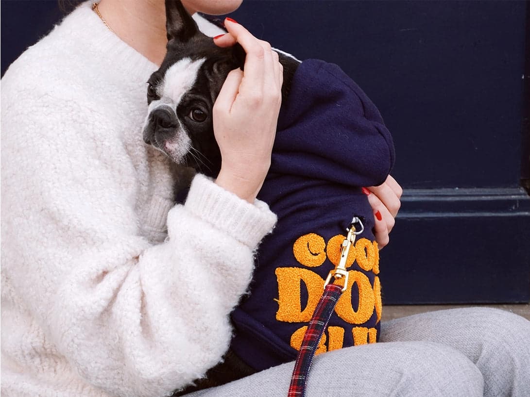 COOL DOG CLUB grå hettegenser m/brodering