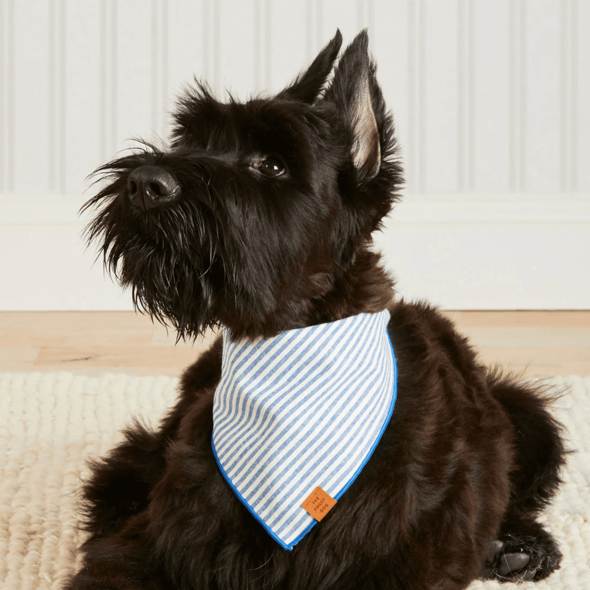 Lake Blue Stripe - Bandana